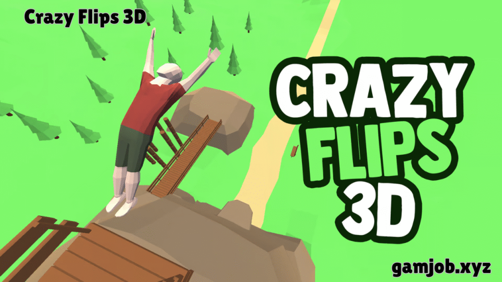 Crazy Flips 3D